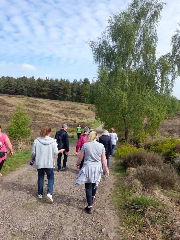 people walking on Cannock Chase