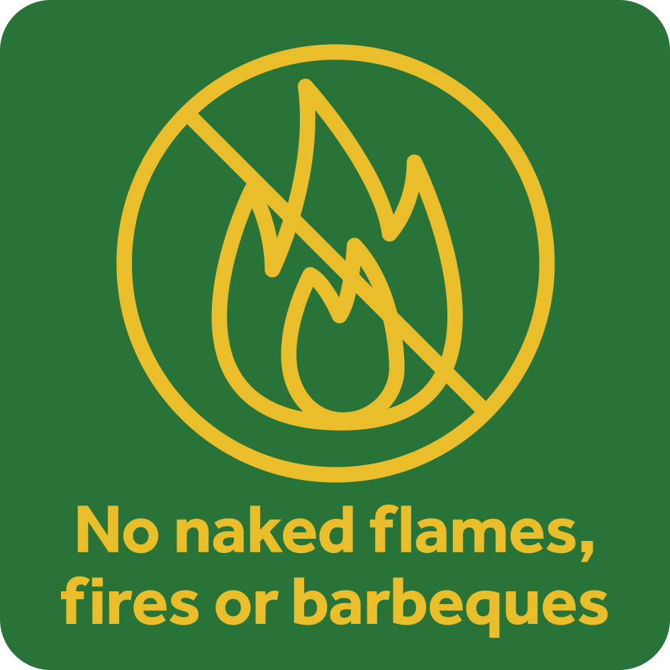 no fire symbol
